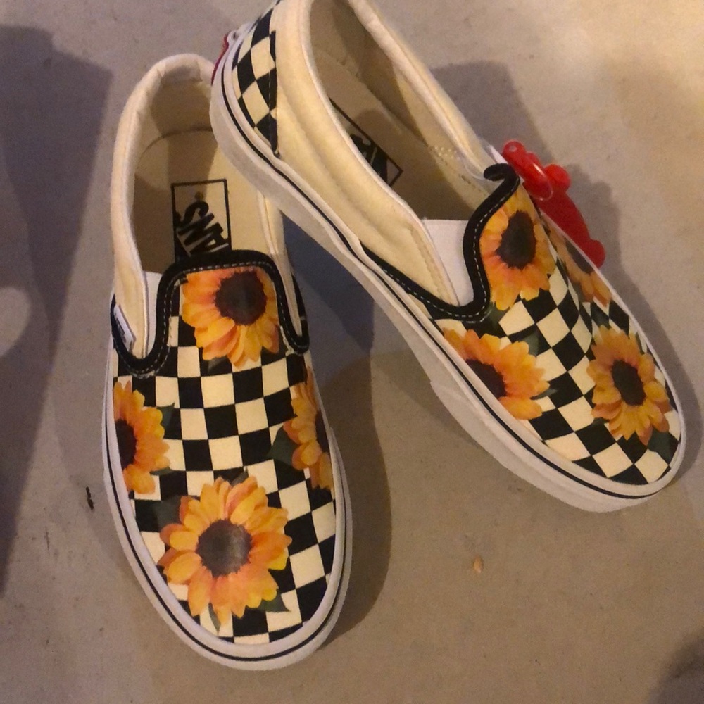 NWT Custom Vans